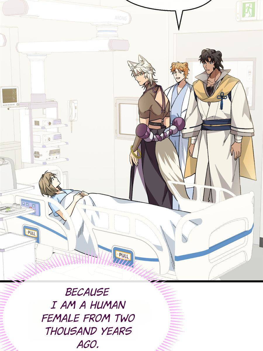 85741076 900 1200 126863